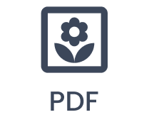 PDF